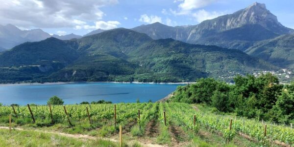 domaine du mont guillaume