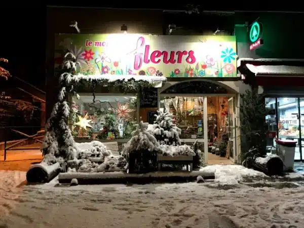 le mondes fleurs